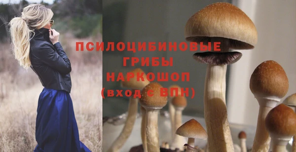 прущие крисы Белоозёрский