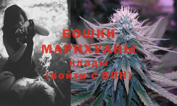 кокс Белокуриха