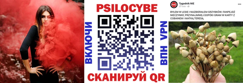 Псилоцибиновые грибы MAGIC MUSHROOMS  где купить наркоту  Ворсма 